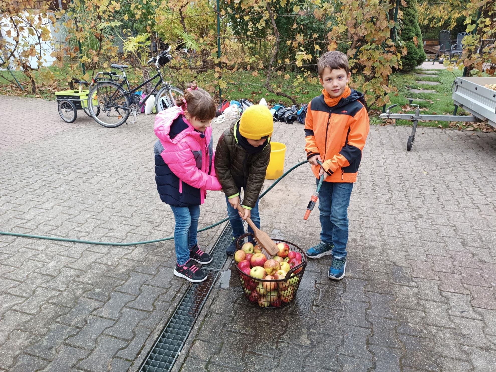 Äpfel waschen - klein